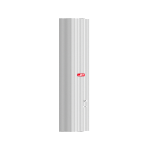 RG-MF2920U-EXTENDULE